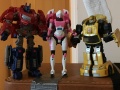 13 June 2016 Transformers Facebook post.jpeg